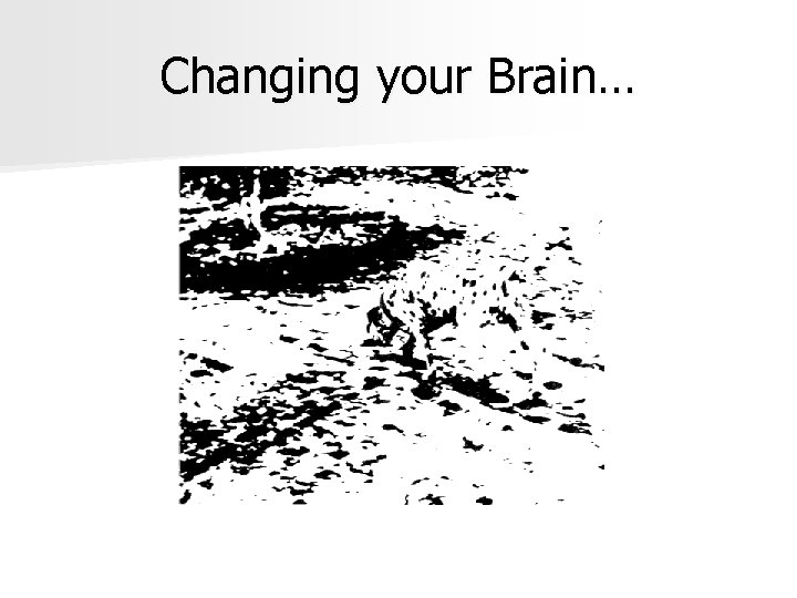Changing your Brain… 