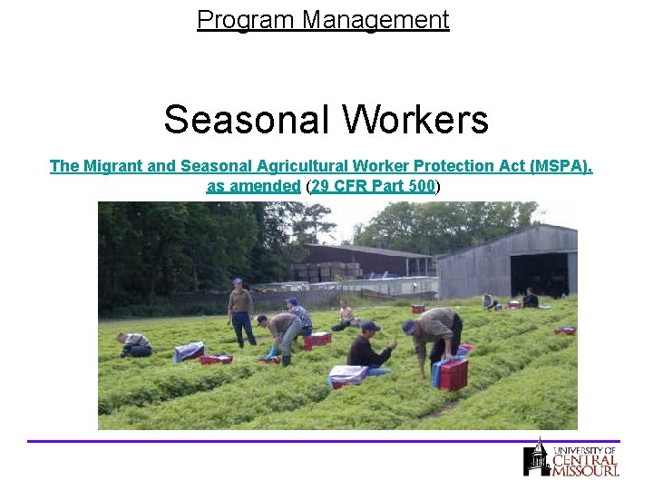 Program Management Seasonal Workers The Migrant and Seasonal Agricultural Worker Protection Act (MSPA), as
