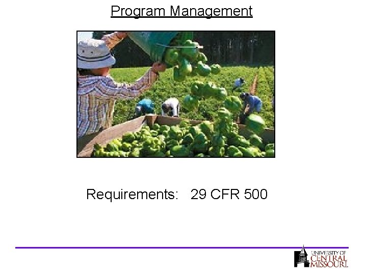 Program Management Requirements: 29 CFR 500 