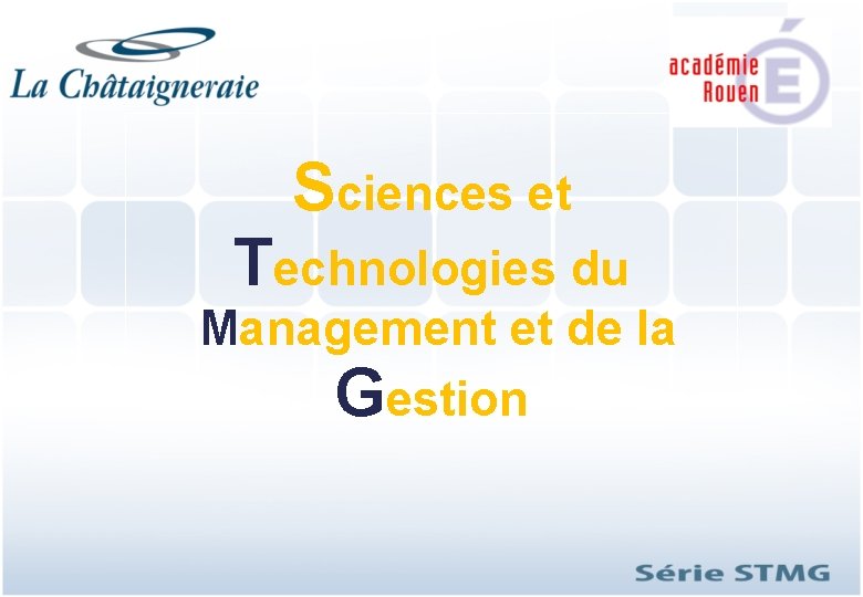 Sciences et Technologies du Management et de la