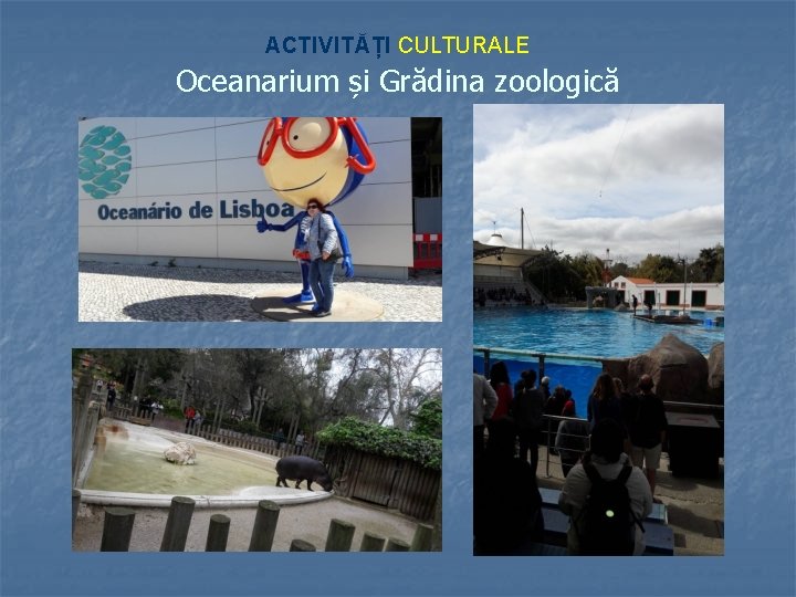 ACTIVITĂȚI CULTURALE Oceanarium și Grădina zoologică 
