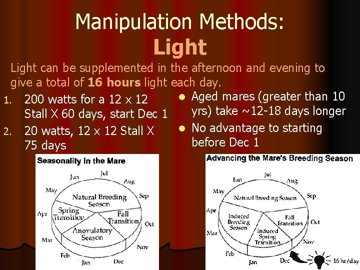 Manipulation Methods: Light can be supplemented in the afternoon and evening to give a