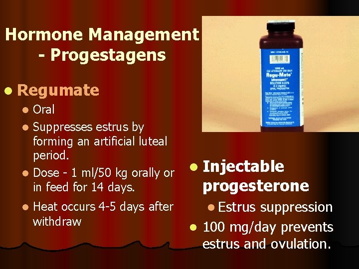 Hormone Management - Progestagens l Regumate Oral l Suppresses estrus by forming an artificial