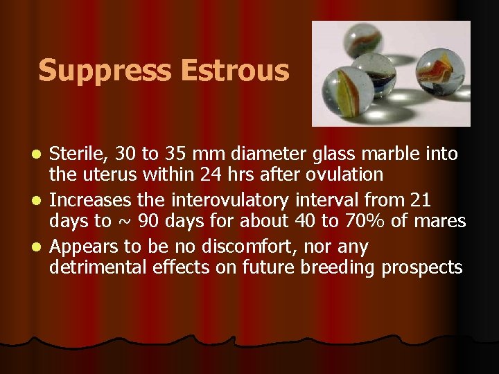 Suppress Estrous Sterile, 30 to 35 mm diameter glass marble into the uterus within