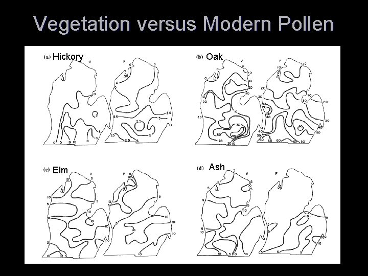Vegetation versus Modern Pollen Hickory Elm Oak Ash 