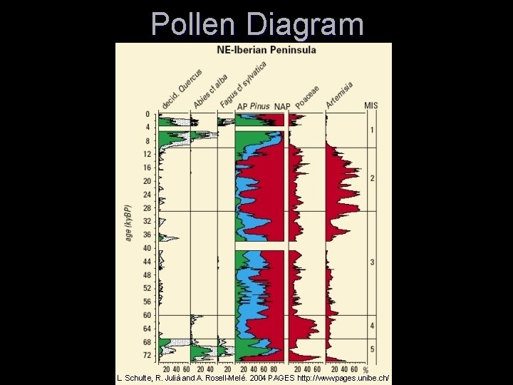 Pollen Diagram 