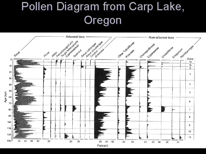 Pollen Diagram from Carp Lake, Oregon 