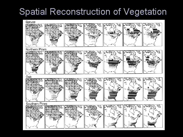 Spatial Reconstruction of Vegetation 