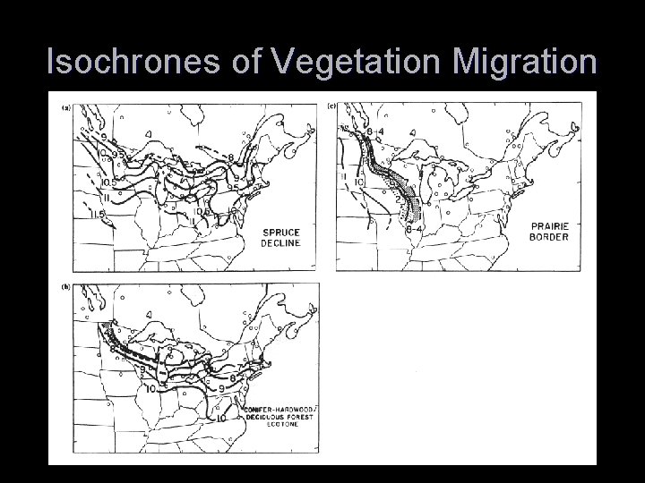 Isochrones of Vegetation Migration 