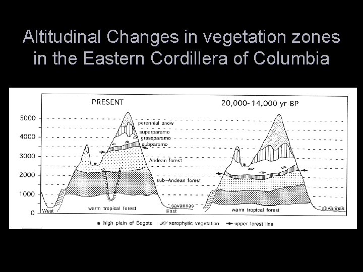 Altitudinal Changes in vegetation zones in the Eastern Cordillera of Columbia 