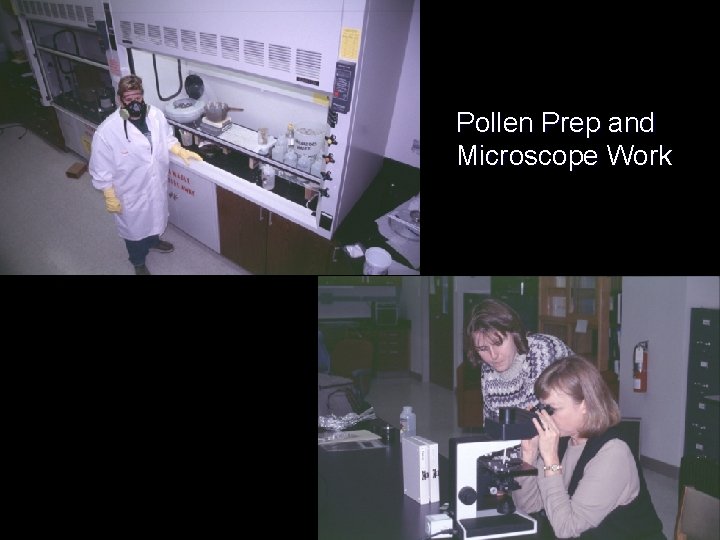 Pollen Prep and Microscope Work 