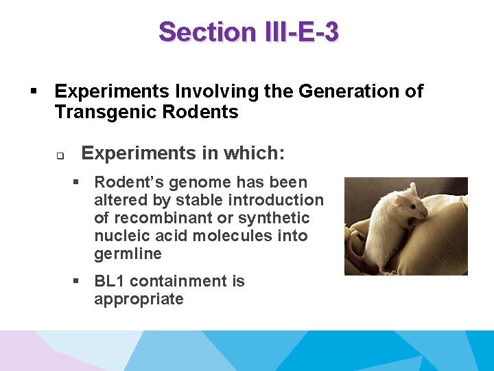 Section III-E-3 § Experiments Involving the Generation of Transgenic Rodents q Experiments in which: