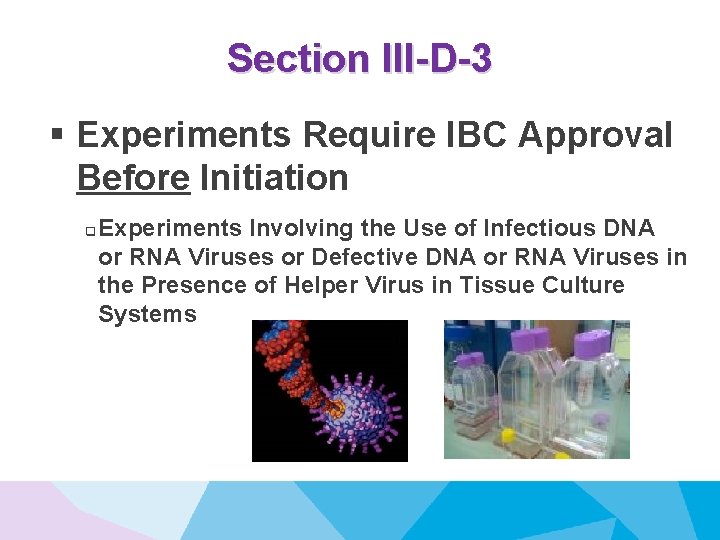 Section III-D-3 § Experiments Require IBC Approval Before Initiation q Experiments Involving the Use