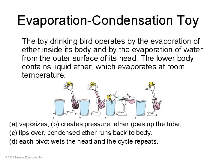 Evaporation-Condensation Toy The toy drinking bird operates by the evaporation of ether inside its