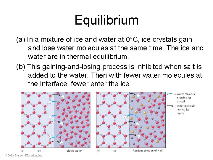 Equilibrium (a) In a mixture of ice and water at 0°C, ice crystals gain