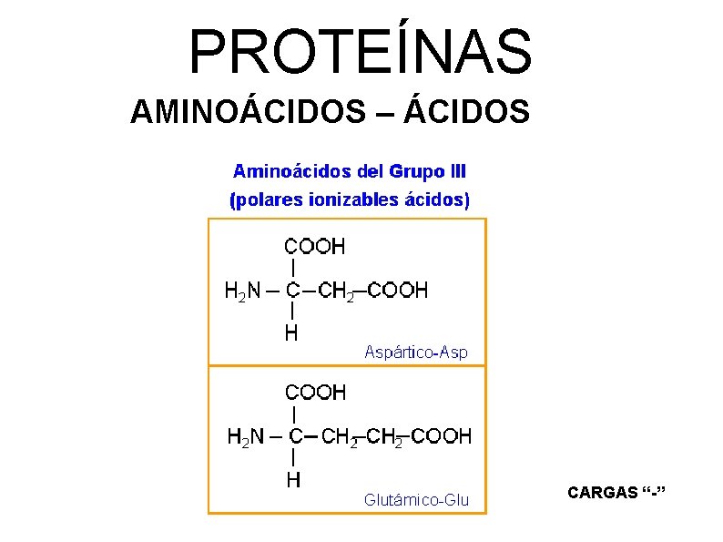 PROTEÍNAS AMINOÁCIDOS – ÁCIDOS CARGAS “-” 