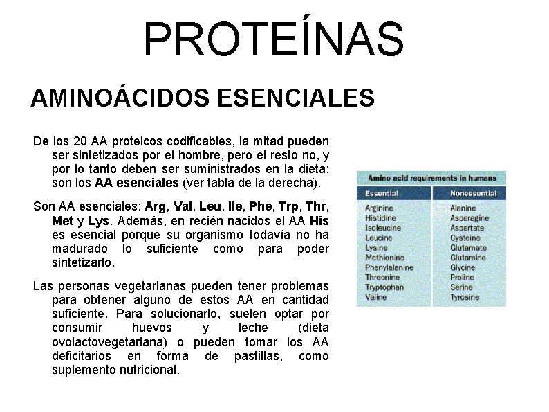 PROTEÍNAS AMINOÁCIDOS ESENCIALES De los 20 AA proteicos codificables, la mitad pueden ser sintetizados