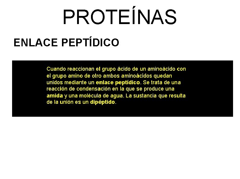 PROTEÍNAS ENLACE PEPTÍDICO 