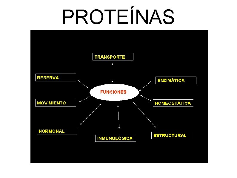 PROTEÍNAS 