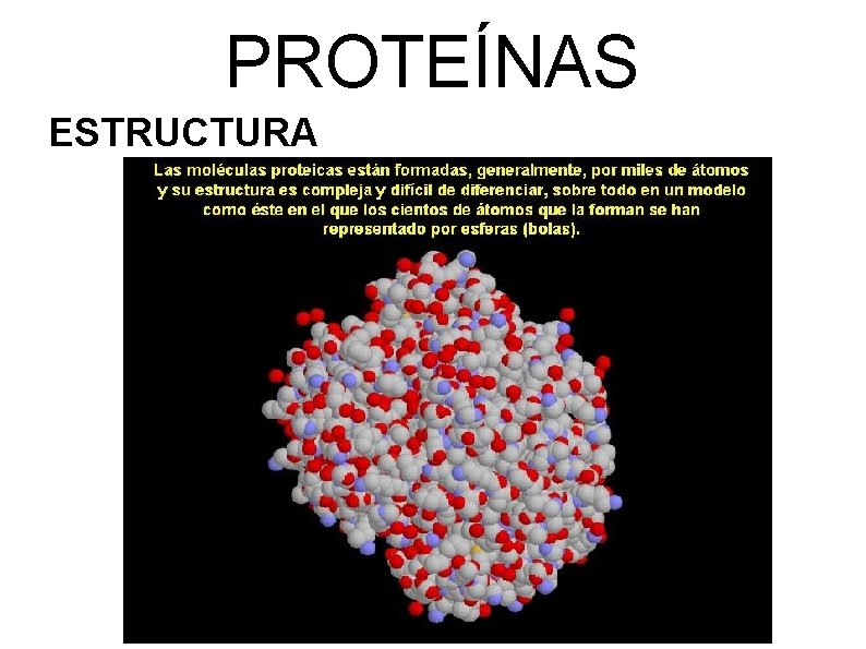 PROTEÍNAS ESTRUCTURA 