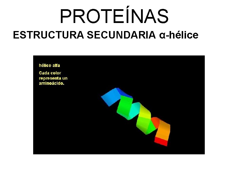 PROTEÍNAS ESTRUCTURA SECUNDARIA α-hélice 