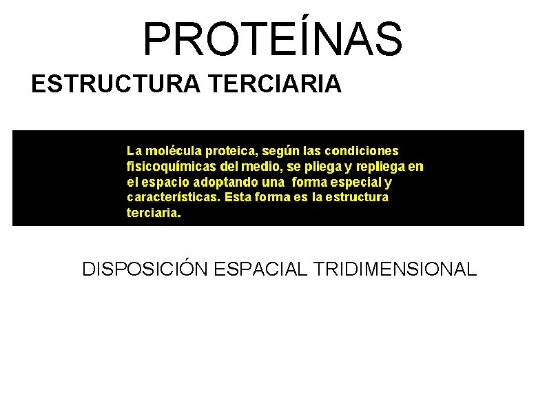 PROTEÍNAS ESTRUCTURA TERCIARIA DISPOSICIÓN ESPACIAL TRIDIMENSIONAL 