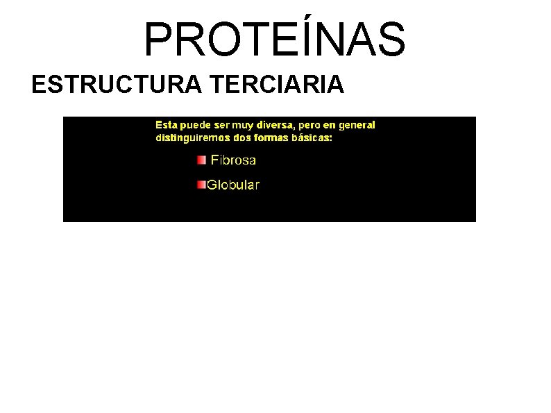 PROTEÍNAS ESTRUCTURA TERCIARIA 