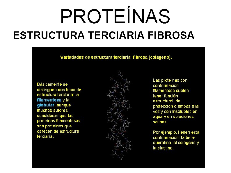 PROTEÍNAS ESTRUCTURA TERCIARIA FIBROSA 