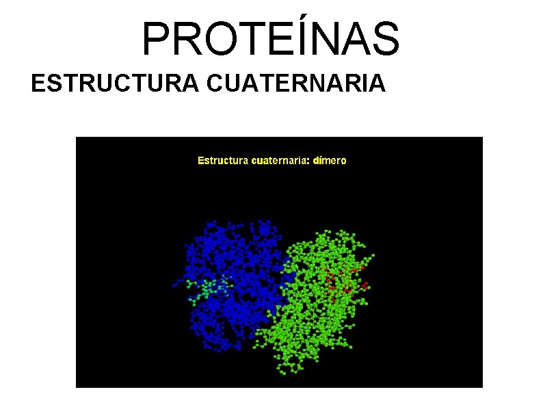 PROTEÍNAS ESTRUCTURA CUATERNARIA 