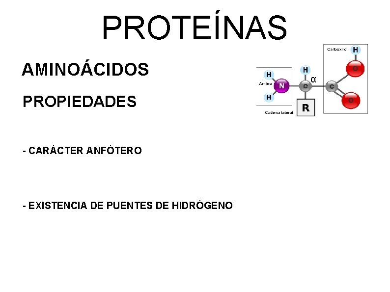 PROTEÍNAS AMINOÁCIDOS PROPIEDADES - CARÁCTER ANFÓTERO - EXISTENCIA DE PUENTES DE HIDRÓGENO α 