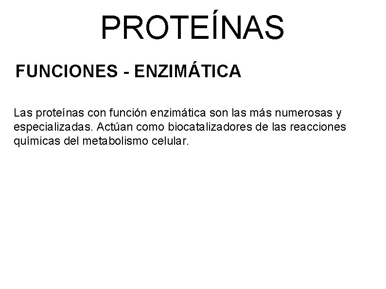 PROTEÍNAS FUNCIONES - ENZIMÁTICA Las proteínas con función enzimática son las más numerosas y