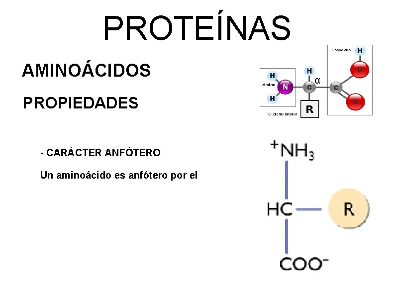 PROTEÍNAS AMINOÁCIDOS PROPIEDADES - CARÁCTER ANFÓTERO Un aminoácido es anfótero por el α 