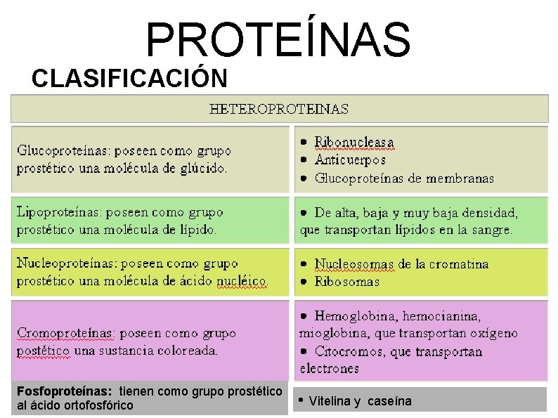 PROTEÍNAS CLASIFICACIÓN Fosfoproteínas: tienen como grupo prostético al ácido ortofosfórico • Vitelina y caseína