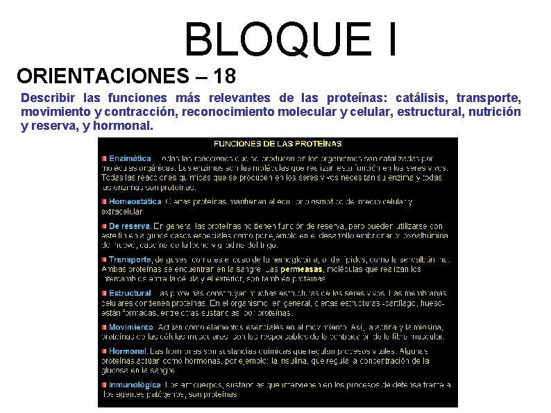 BLOQUE I ORIENTACIONES – 18 Describir las funciones más relevantes de las proteínas: catálisis,