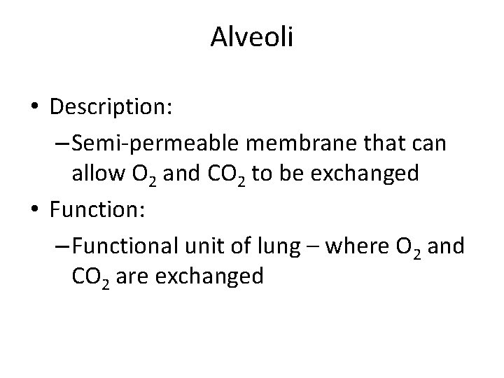 Alveoli • Description: – Semi-permeable membrane that can allow O 2 and CO 2