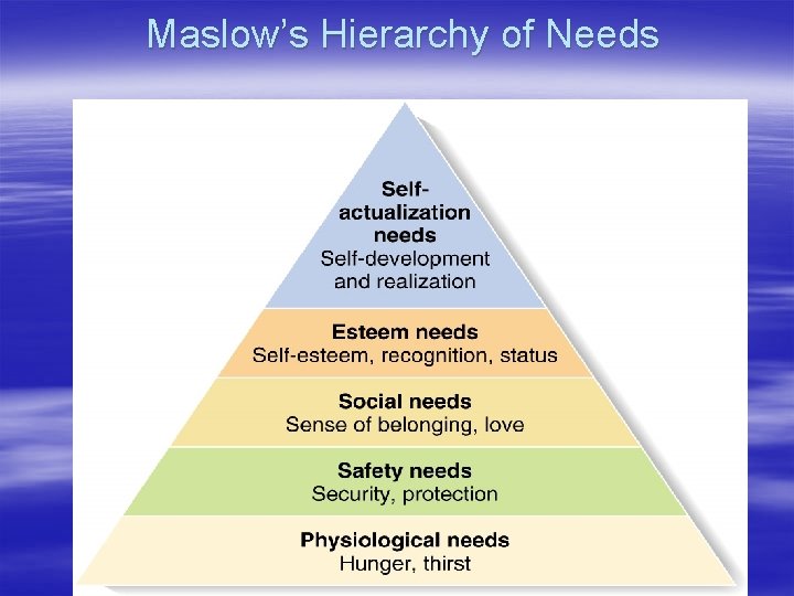 Maslow’s Hierarchy of Needs 
