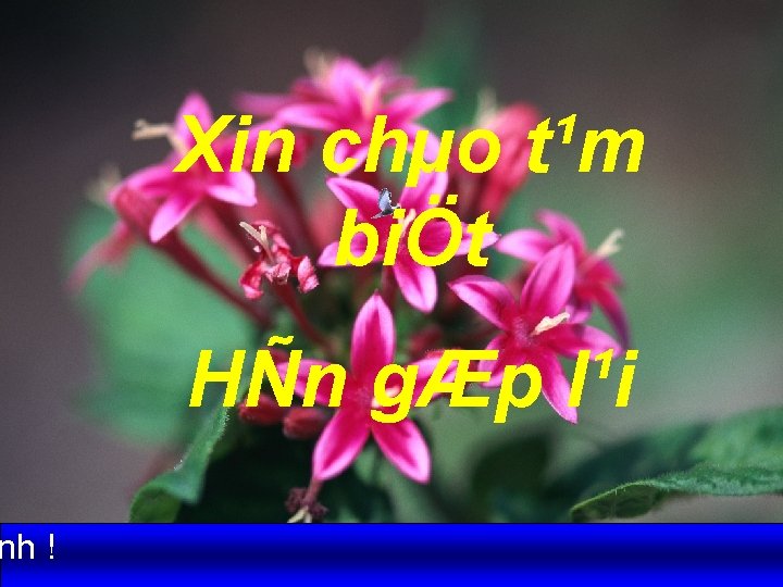 nh ! Xin chµo t¹m biÖt HÑn gÆp l¹i 