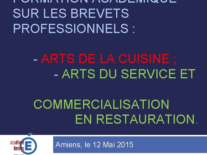 FORMATION ACADEMIQUE SUR LES BREVETS PROFESSIONNELS : - ARTS DE LA CUISINE ; -