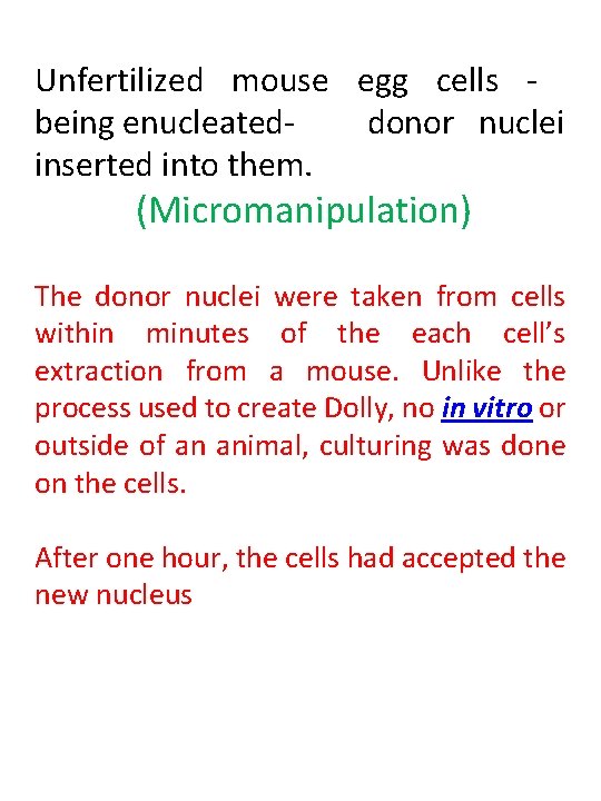 Unfertilized mouse egg cells being enucleateddonor nuclei inserted into them. (Micromanipulation) The donor nuclei