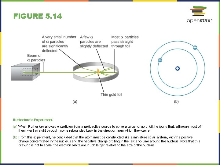 FIGURE 5. 14 Rutherford’s Experiment. (a) When Rutherford allowed α particles from a radioactive