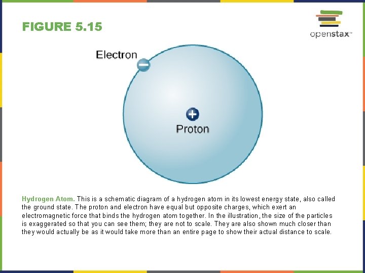 FIGURE 5. 15 Hydrogen Atom. This is a schematic diagram of a hydrogen atom