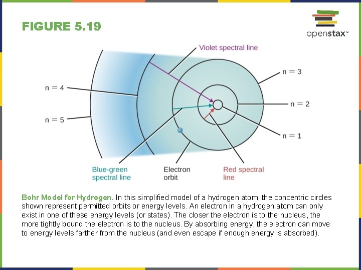 FIGURE 5. 19 Bohr Model for Hydrogen. In this simplified model of a hydrogen