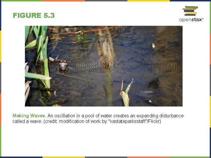 FIGURE 5. 3 Making Waves. An oscillation in a pool of water creates an