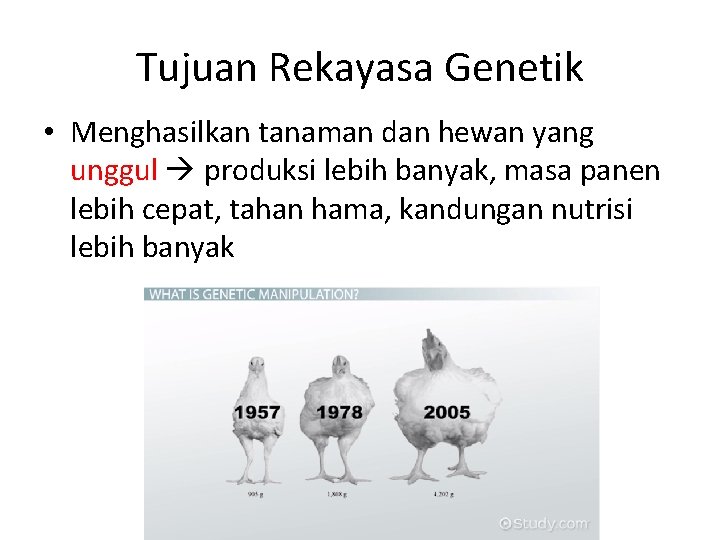 Tujuan Rekayasa Genetik • Menghasilkan tanaman dan hewan yang unggul produksi lebih banyak, masa