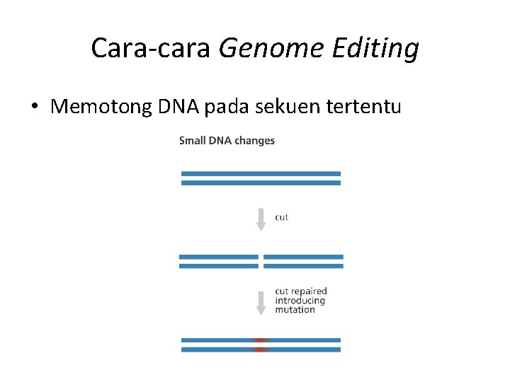 Cara-cara Genome Editing • Memotong DNA pada sekuen tertentu 