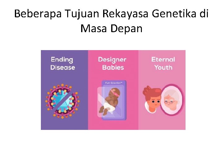 Beberapa Tujuan Rekayasa Genetika di Masa Depan 