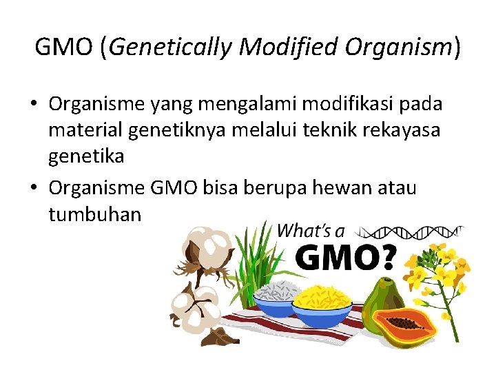 GMO (Genetically Modified Organism) • Organisme yang mengalami modifikasi pada material genetiknya melalui teknik