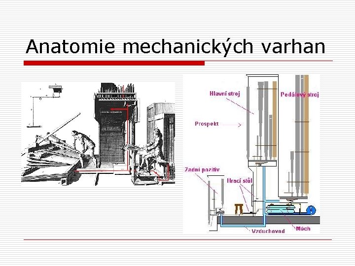 Anatomie mechanických varhan 