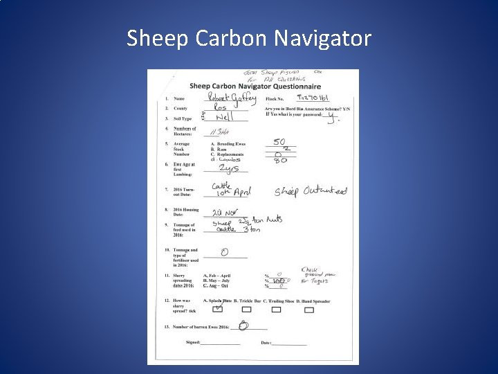 Sheep Carbon Navigator 