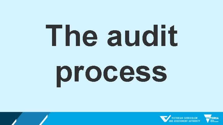 The audit process 